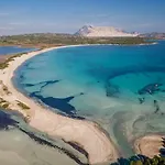 100m Dalla Affitti